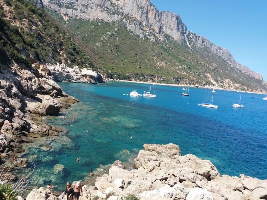 Dommu Amsicora Daire Baunei Dış mekan fotoğraf